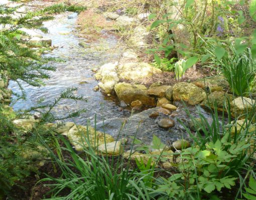 award-winning-water-garden-in-silchester-hampshire-design-by-ryan-strong