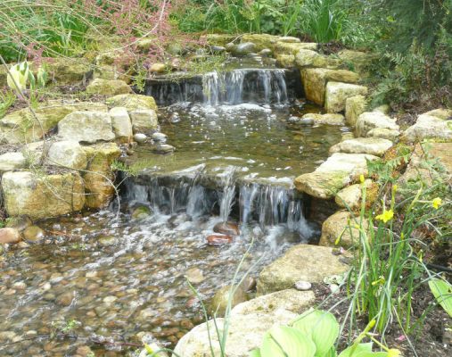water-garden-in-cobham-surrey-5