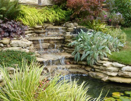water-garden-in-hook-hampshire-3